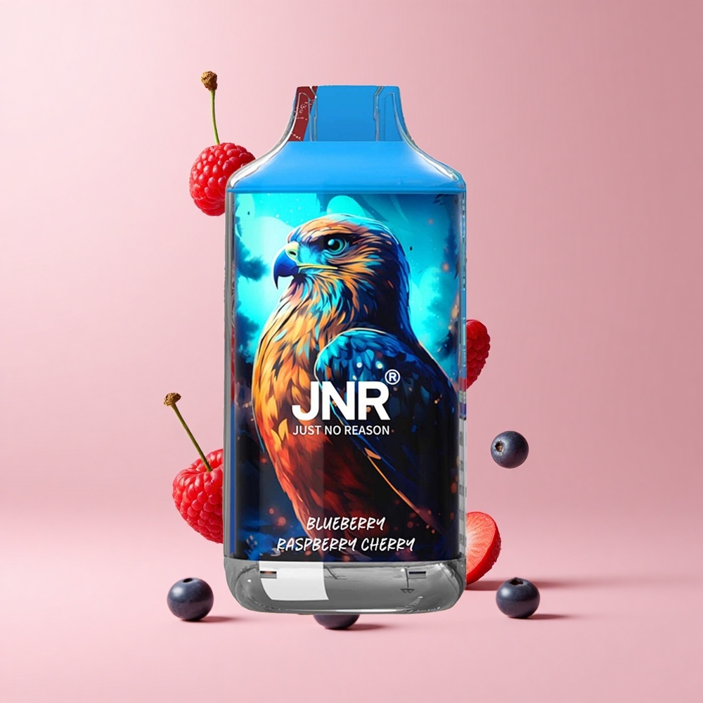 Blueberry Raspberry Cherry JNR Falcon 16000 Puffs Dual Mesh 22ml Type C