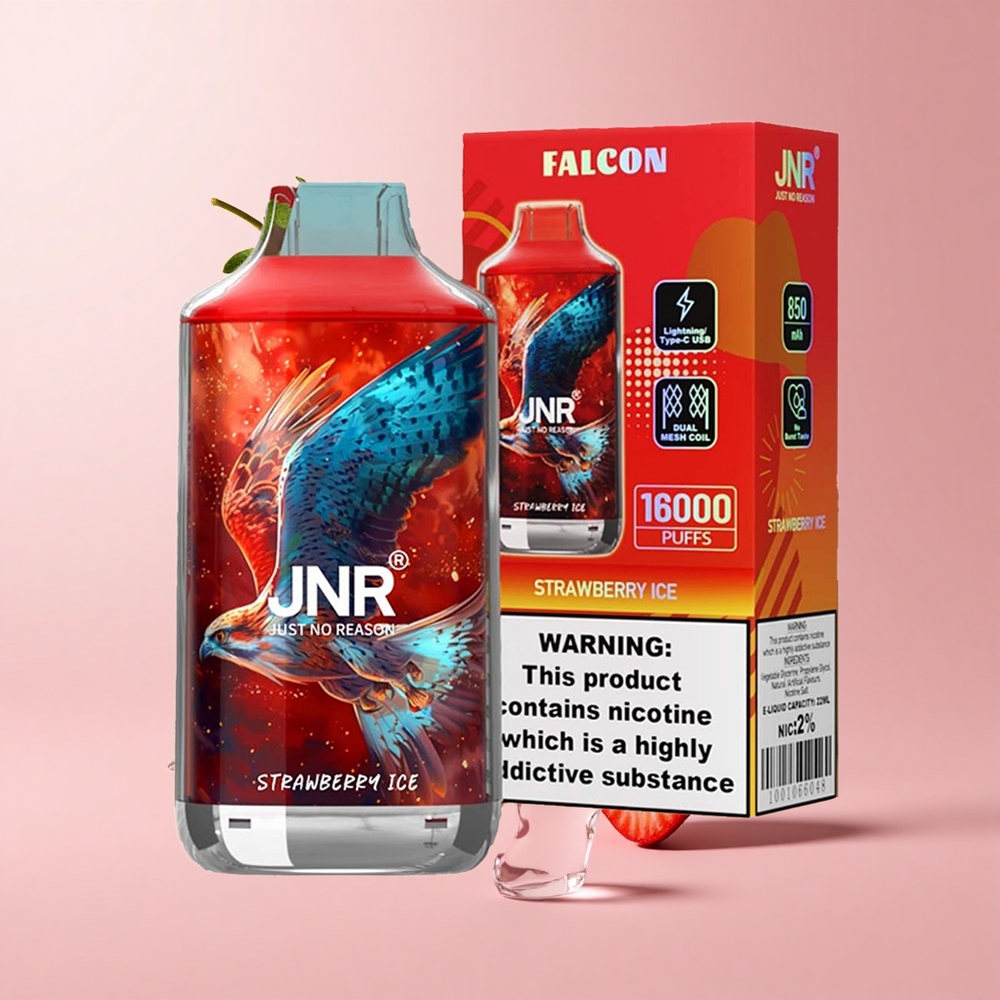 Strawberry Ice JNR Falcon 16000 Puffs Dual Mesh 850mAh Type C
