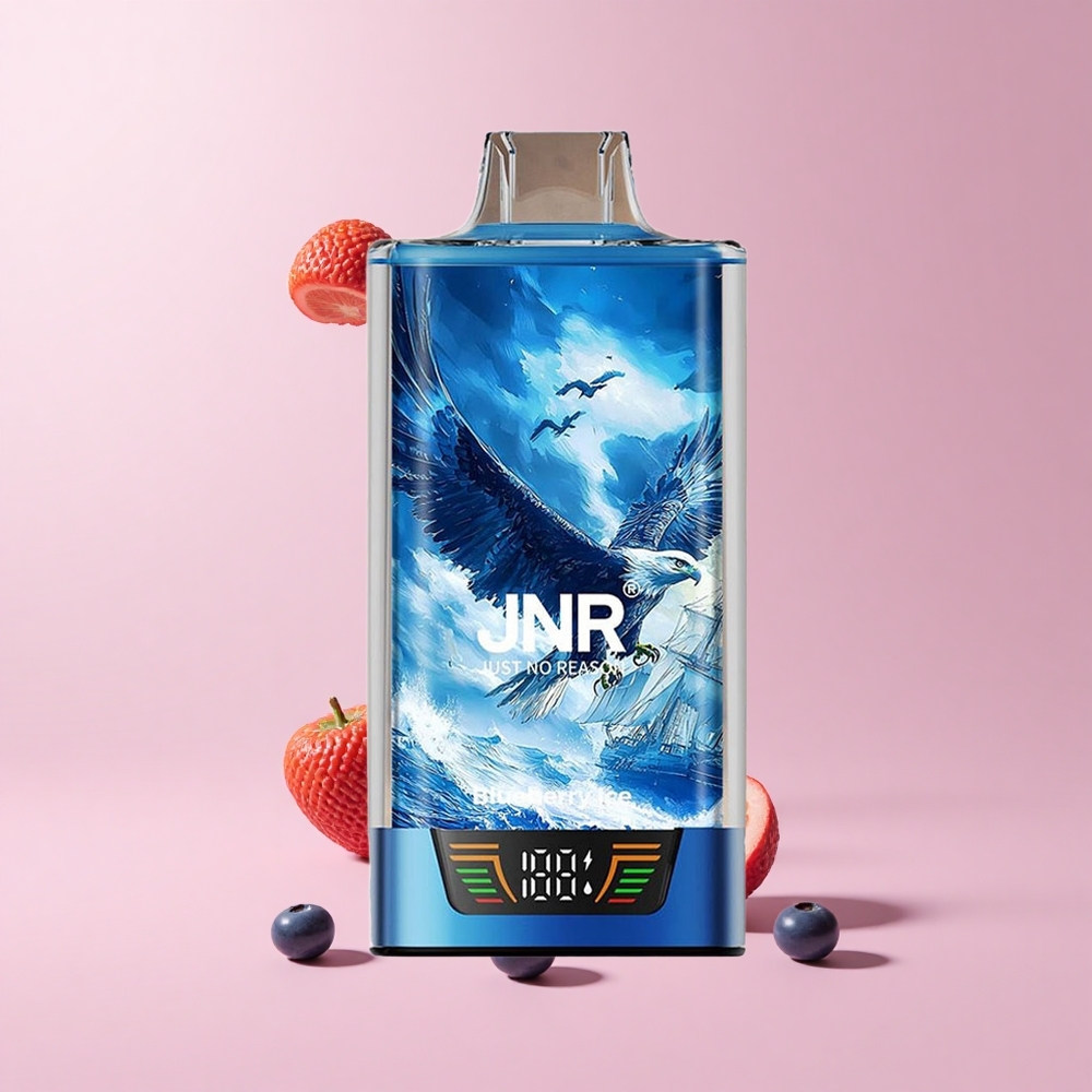 Blueberry Ice JNR Falcon Pro 28000 30ml 950mAh Smart Display Disposable Vape