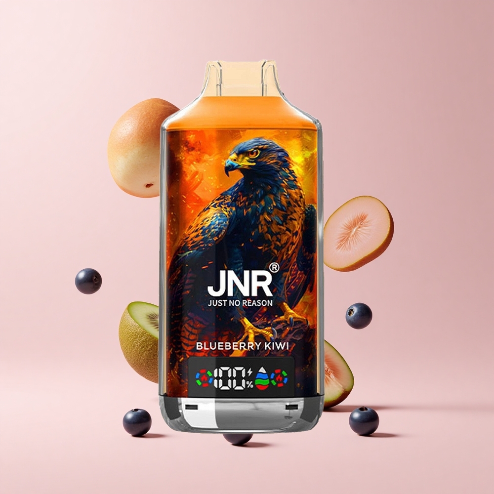 Blueberry Kiwi JNR Falcon X 18000 Puffs 750mAh Type-C Dual Mesh