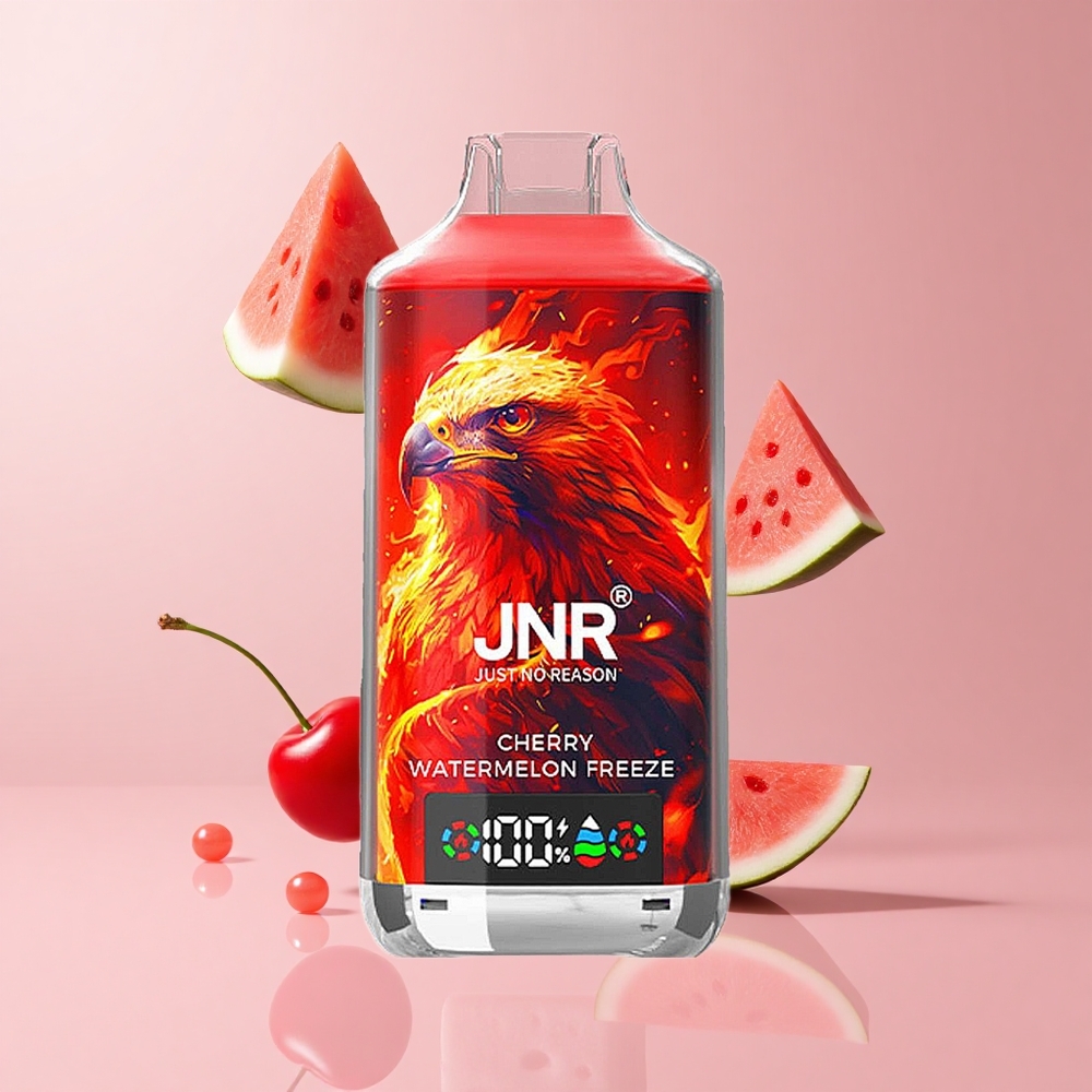 Cherry Watermelon JNR Falcon X 18000 Puffs 24ml Dual Mesh Digital