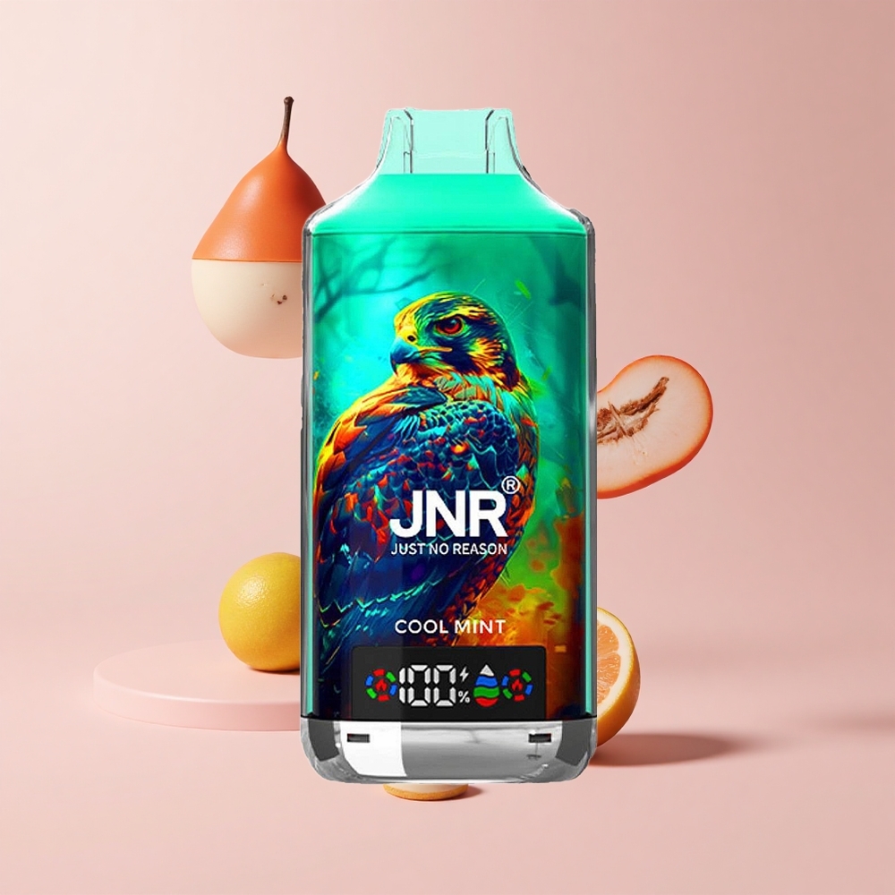 Cool Mint JNR Falcon X 18000 Puffs 24ml Dual Mesh Type-C