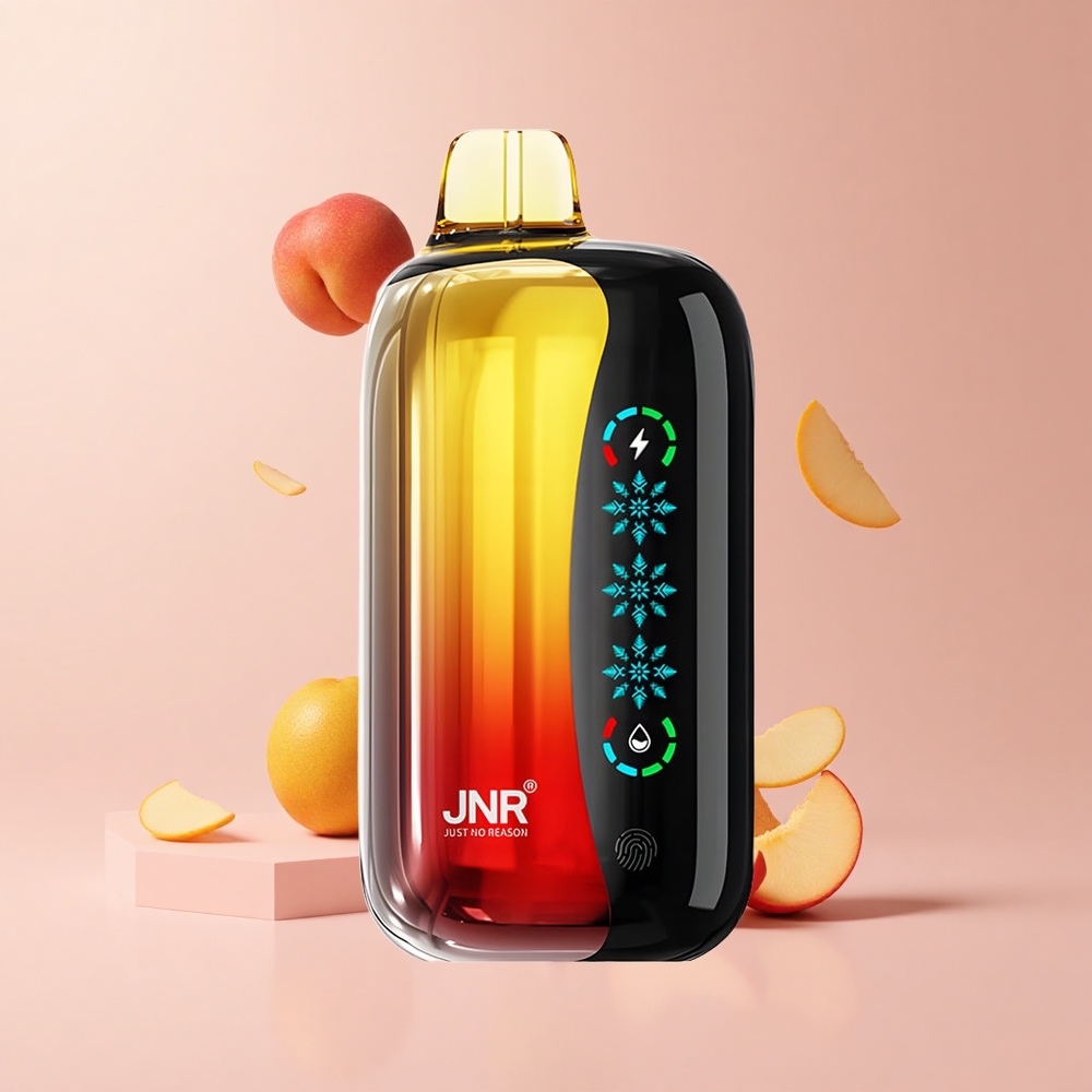 Peach Mango Pineapple JNR Flex Ice 21000 Puffs Touch Screen Dual Mesh