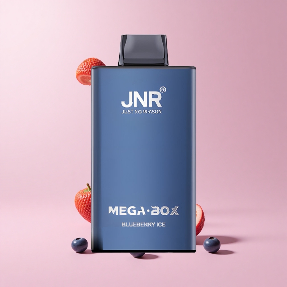 Blueberry Ice JNR Mega Box 25000 Puffs 30ml Type-C Dual Mesh Disposable Vape