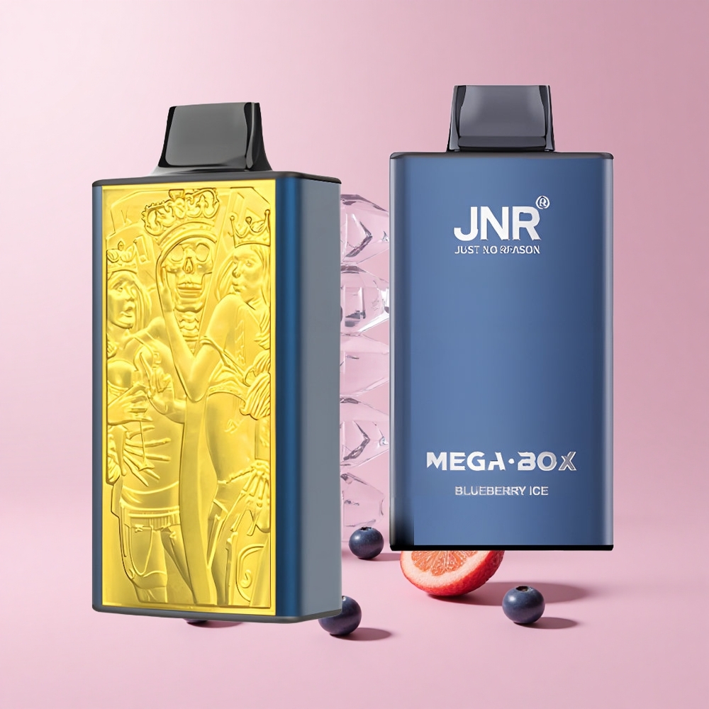 Blueberry Ice JNR Mega Box 25000 Puffs 30ml Type-C Dual Mesh Disposable Vape
