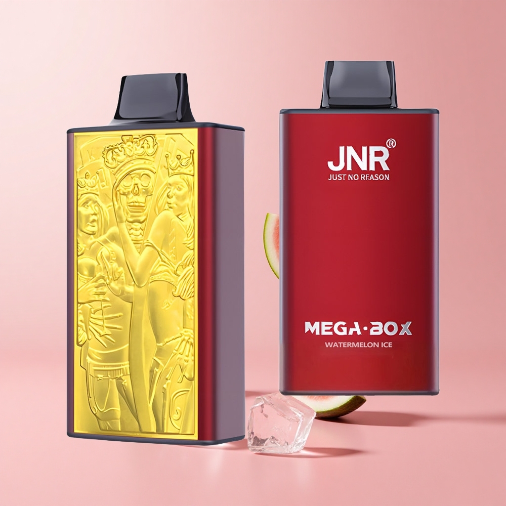 Watermelon Ice JNR Mega Box 25000 Puffs Dual Mesh Type-C Disposable Vape