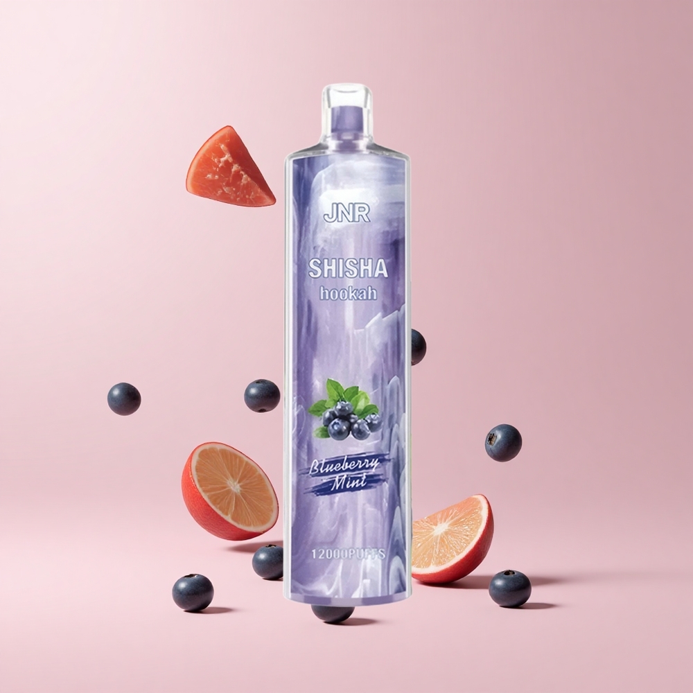 Blueberry Mint JNR Shisha Hookah 12000 Puffs 750mAh 24ml Mesh