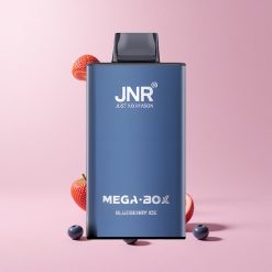 Blueberry Ice JNR Mega Box 25000 Puffs 30ml Type-C Dual Mesh Disposable Vape